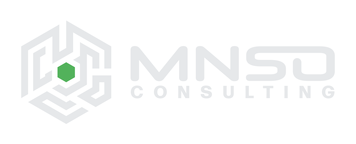 logo MNSO Consulting